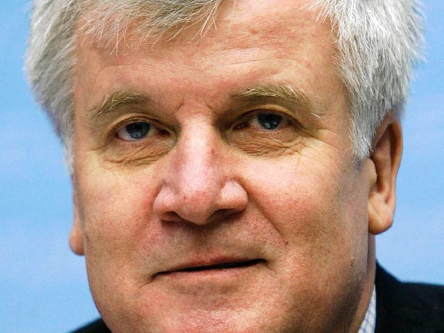 Einziger Kandidat: Horst Seehofer  | Foto: ddp