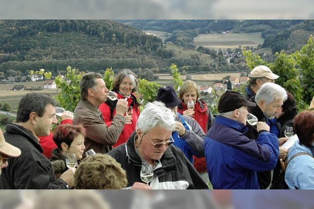 Kostproben am Rebberg