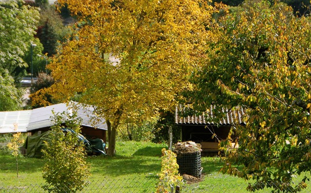 Gartenhtten:  Nicht berall ist das I...geht gegen illegal gebaut Htten vor.   | Foto: Trenz