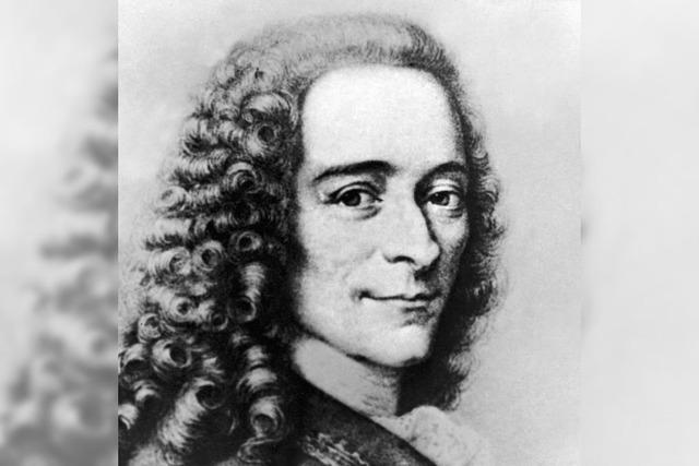 Gymnasium: Voltaire oder Leo Wohleb