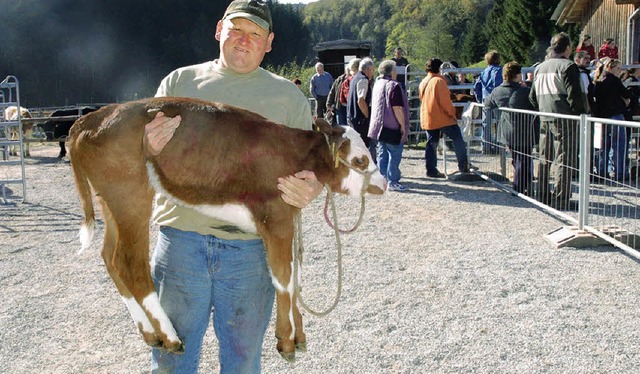 Vom Bullen bis zum Kalb: Bei der Versteigerung  wechselt das Vieh den Besitzer.   | Foto: Dennis Wolf