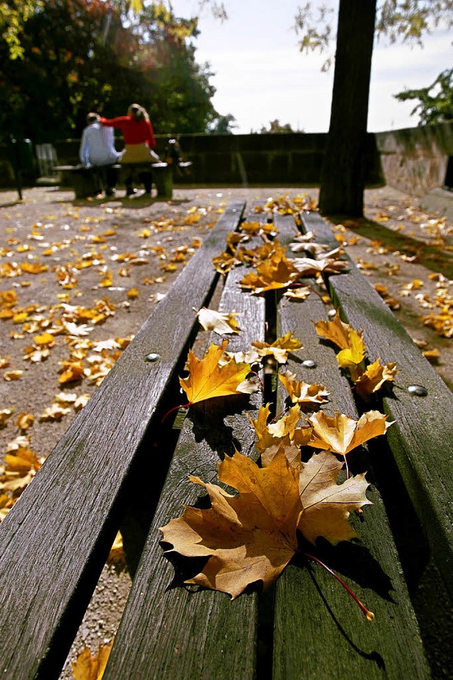 Herbstlaub: Des einen Freud, des anderen Leid.   | Foto: dpa