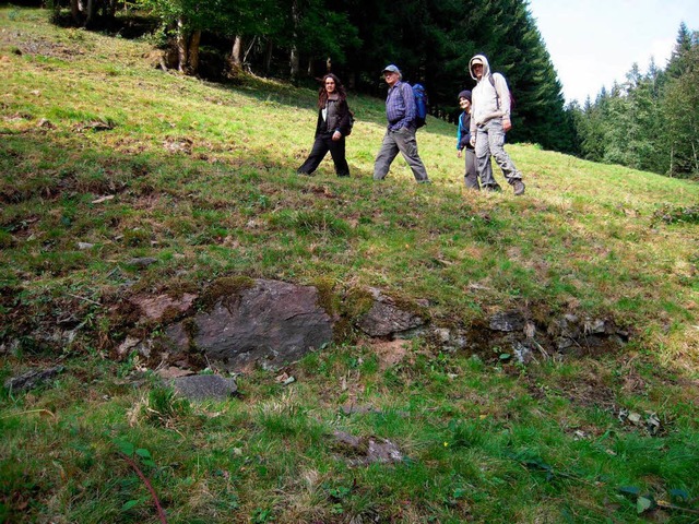 Es gibt sie noch: Sichtbare Spuren des Urgrabens am Kandel im Gelnde.  | Foto: Karin Heinze