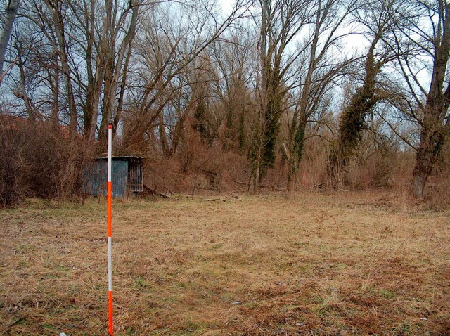 Am Breisacher Pionierhafen ist der  Rh...en, dass er kaum noch zu erkennen ist.  | Foto: privat