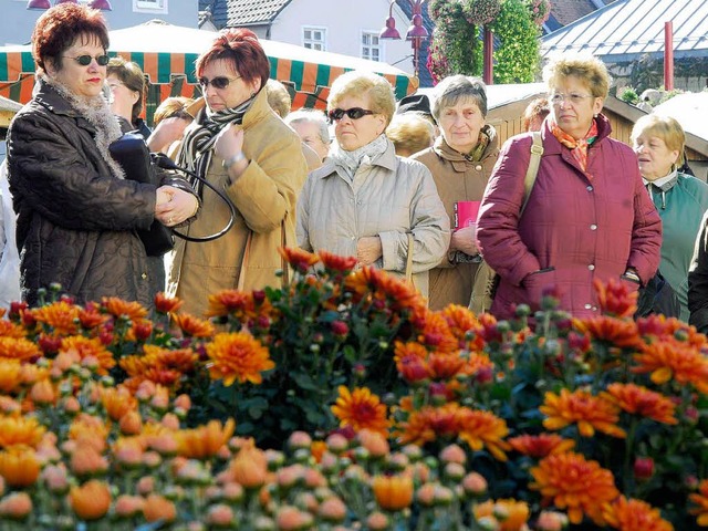 Die Chrysanthema  wird wieder ihre Liebhaber finden.  | Foto: Michael Bamberger