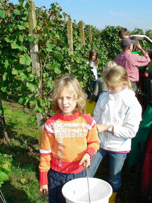 Herbsten im Batzenberg: Die Kinder der Schneckentalschule sind fleiig.  | Foto: Privat