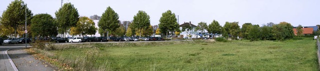 Ein Wiese fr Autos: Die Stadt legt am Bahnhof provisorische Parkpltze an.   | Foto: Volker Mnch