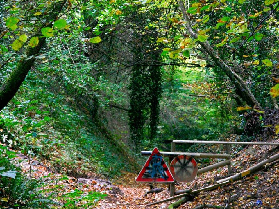 Der Hohlweg ist derzeit gesperrt.  | Foto: Sandra Decoux-kone