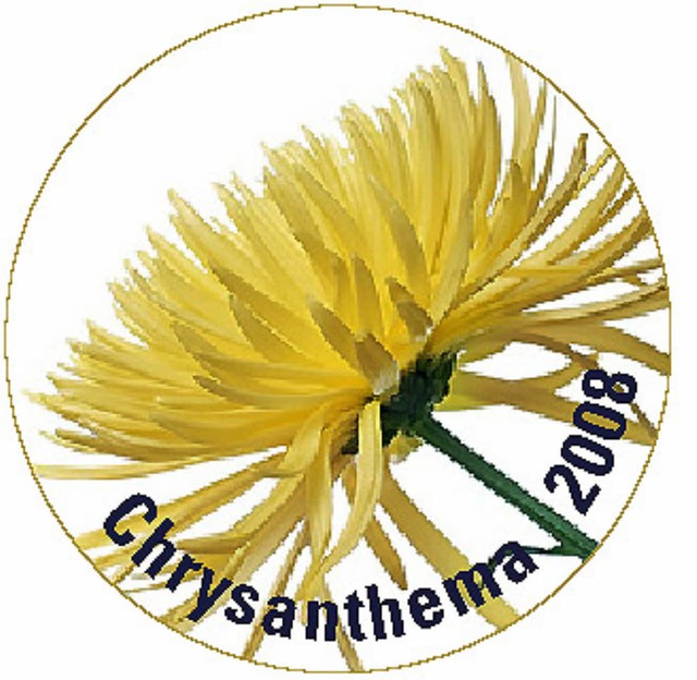 Chrysanthema Anstecker  | Foto: Stadt Lahr