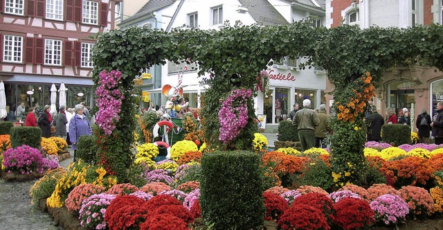 Blhende Fantasie beweist der Europa-P...ownereien auf der Chrysanthemenbhne.   | Foto: Karin Kaiser