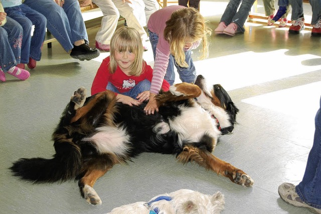 Vertrauen, aber auch Respekt mssen den Umgang vom Kind mit einem Hund prgen.   | Foto: bz