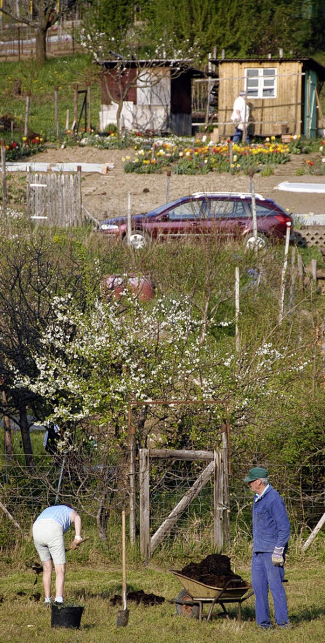 Naturgenuss, Gartenbau oder Naherholun...m Tllinger gibt es viele Interessen.   | Foto: Lauber