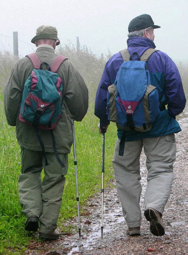 Die Wanderfreunde Oberschopfheim  waren 2007 an 55 Wandertagen unterwegs.   | Foto: dpa
