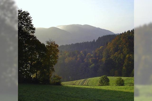 Bilder des Tages: LETZTE SONNENSTRAHLEN