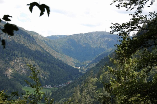 Oberried hat viel Wald: Blick ins St. Wilhelmer Tal   | Foto: Scherfling