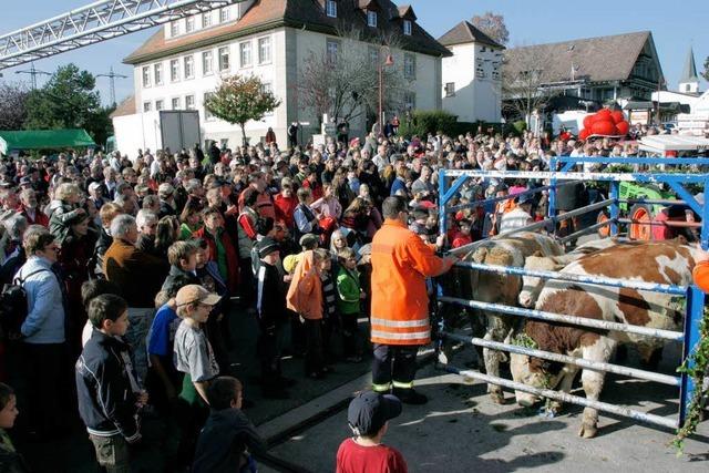 Riesenspektakel um vier 