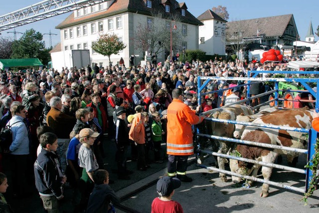 Menschenmassen verfolgten das Grospektakel am Samstagmittag in Birkendorf.  | Foto: Chris Seifried