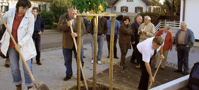 Heike Hauk, Alois Schaffhauser, Wolfga...umpflanzen am Seniorenhaus anpackten.   | Foto: Schtz