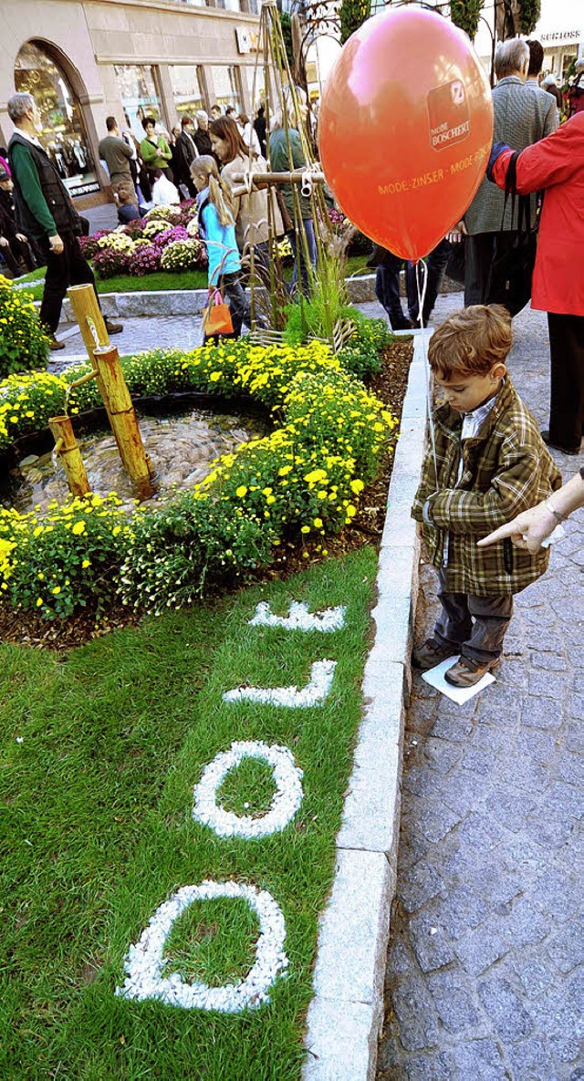 Kleiner Chrysanthemen-Fan in Lahr  vor dem Dole-Beet.   | Foto: W. Knstle