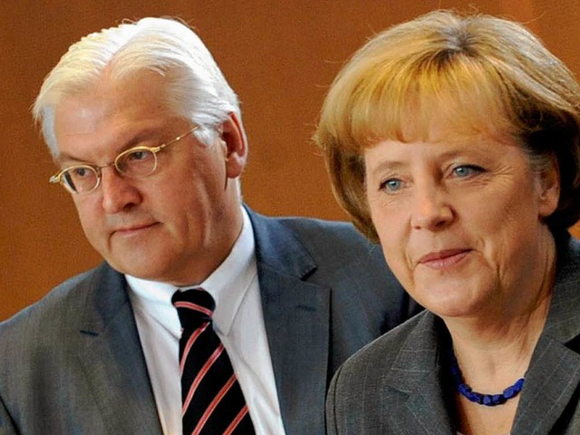 Auenminister Frank-Walter Steinmeier ...n riskante Banken-Geschfte eindmmen.  | Foto: dpa