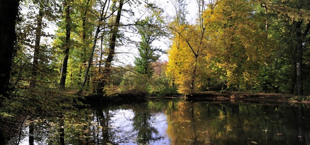 Die Teninger Allmend wird vom Forstamt  betreut.   | Foto: Erggelet