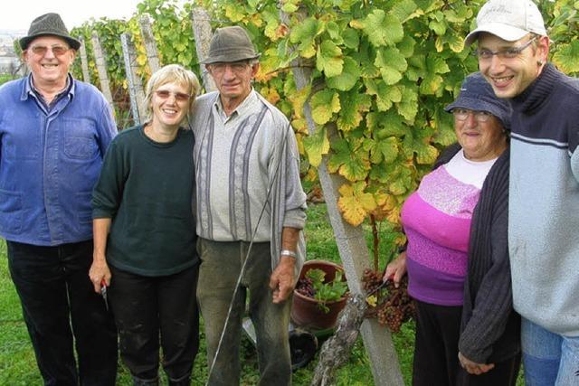 Sie gehren schon fast zur Familie