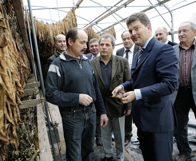Diskussion  im Tabakanbaubetrieb Marti...t dem EU-Abgeordneten Andreas Schwab.   | Foto: christoph breithaupt