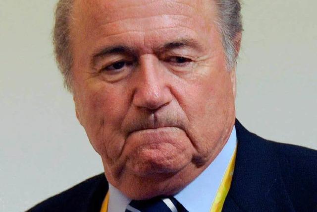 Blatter verursacht Unfall