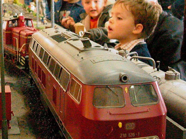 12 groe Modelleisenbahnen sind am Wochenende in Breisach zu sehen.  | Foto: Petra Littner