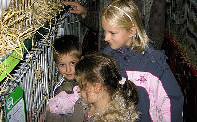 Auch die kleinen Besucher der Kleintie...Sie durften die Kaninchen streicheln.   | Foto: Otto Selb