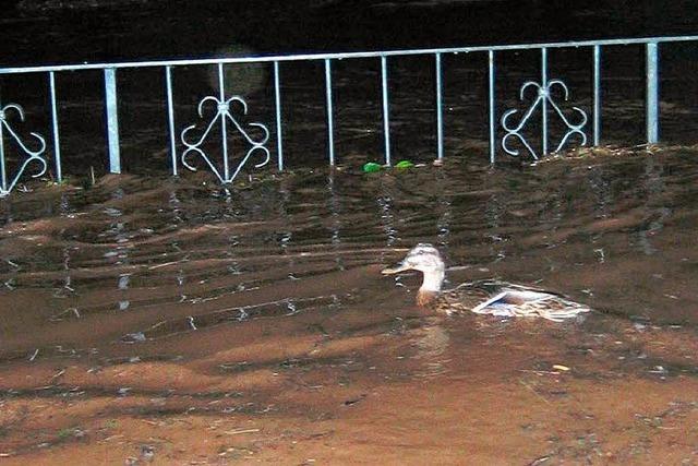 Hochwasser: Keine Landeshilfe fr Ettenheim