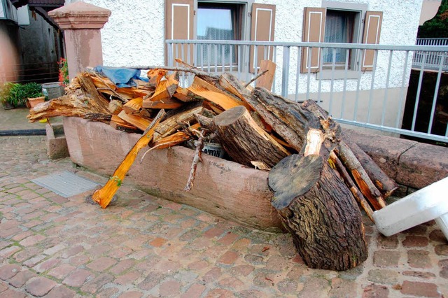 Angeschwemmtes Holz in Mnchweier  | Foto: Katharina Meyer