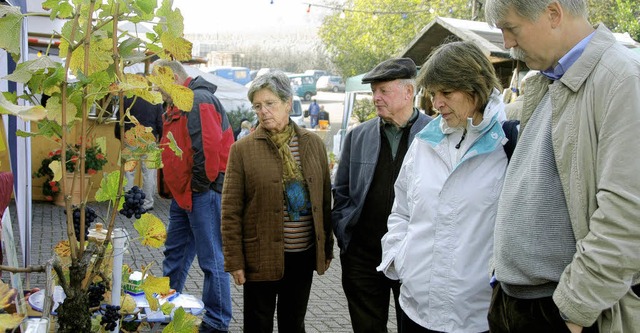 Allerhand zu sehen und zu probieren ga...rkt rund um die Winzergenossenschaft.   | Foto: Roland Vitt