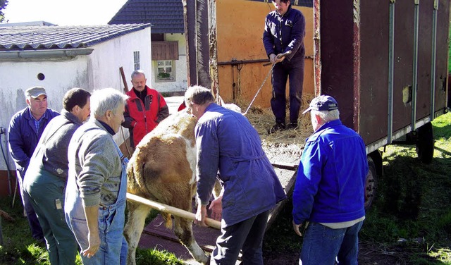 Bei schnster Herbstwitterung ging  im...der Tiere  sanft nachgeholfen werden.   | Foto: kanmacher