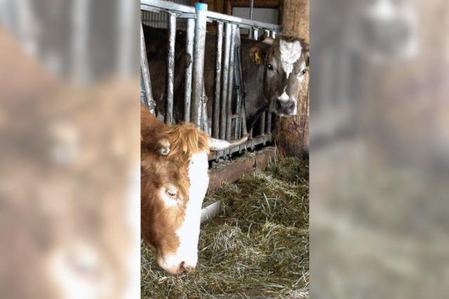 Mehr Tiere vermarktet