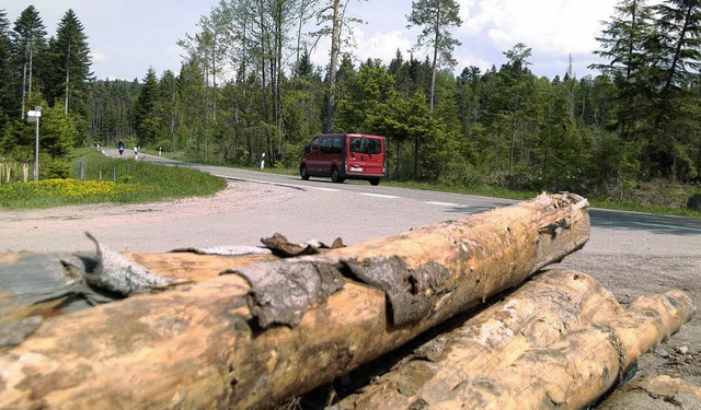 Keine Industrie im Hnnermer Wald: Mur...t-Plastic in Rheinfelden perfekt ist.   | Foto: WINFRIED DIETSCHE