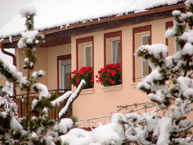 Weie Tannen und leuchtende Geranien: Der Winter kommt nach Unadingen.   | Foto: Christa Maier