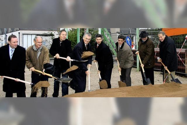 Im Schopfheimer Schlattholz gibt es 100 Baupltze