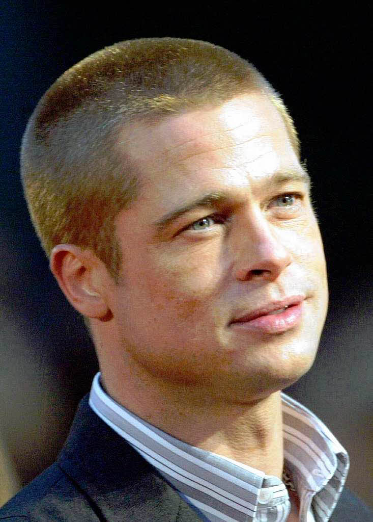 Engagierter Wahlhelfer fr Obama: Schauspieler Brad Pitt. Genealogen haben sogar eine Verwandschaft zwischen den beiden nachgewiesen.