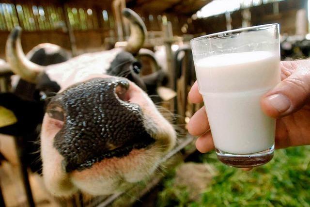 Preise für Milchprodukte fallen um bis zu 20 Prozent