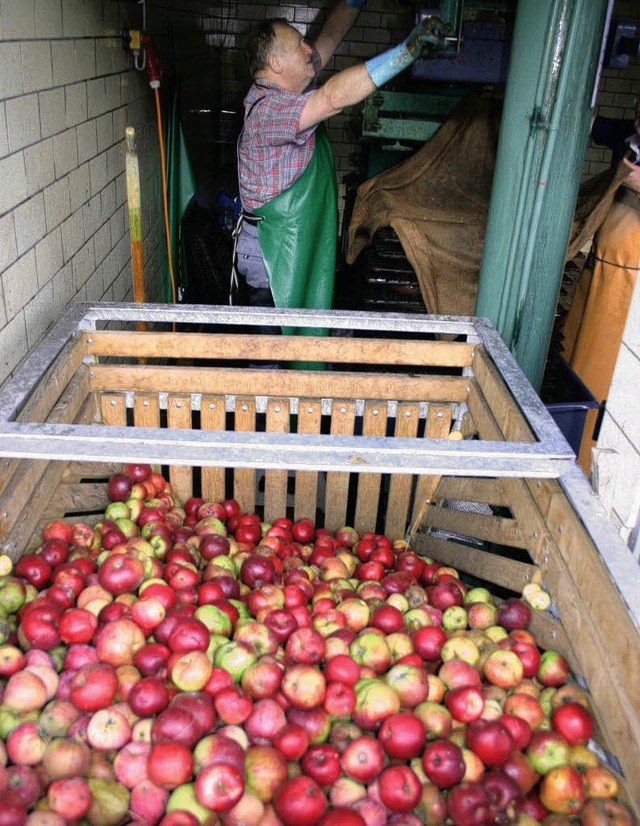 Aus prallen pfeln von der Streuobstwi... Mosterei 1000 Liter Saft pressen.      | Foto: Privat