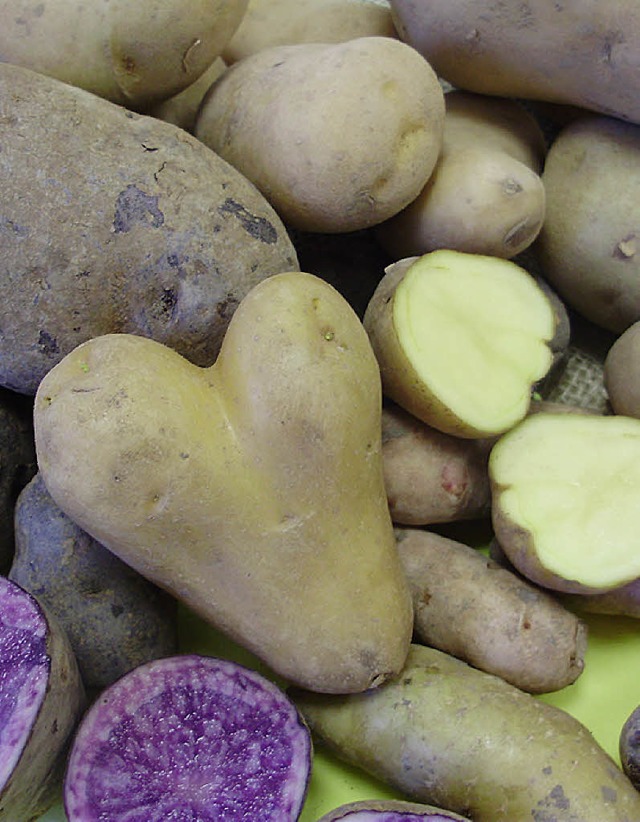 Vielfltige  Formen, vielfltige Geschmacksrichtungen: Kartoffeln   | Foto: Landrtsamt