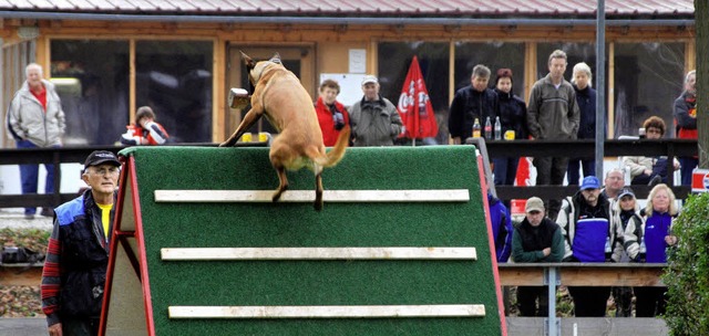 Hndin &#8222;Eyla&#8220; geht ber di...nde des Hundesportvereins Jechtingen.   | Foto: Roland Vitt