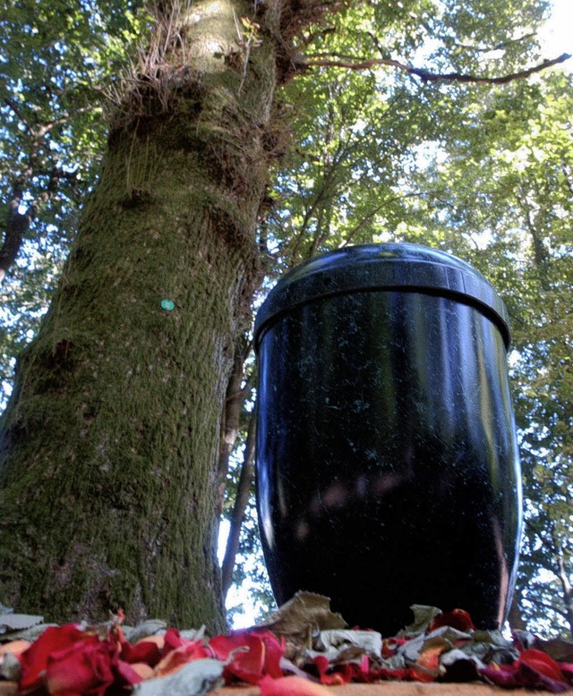 So knnte es dereinst im Friedwald aussehen.   | Foto: dpa