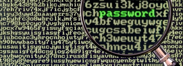 Das FBI wollte den &#8222;Hacker von S...ie Lupe nehmen und in die USA locken.   | Foto: fotolia