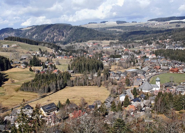 Im Verwaltungsraum Hinterzarten-Breitn...nd der Landschaftsplan neu erstellt.    | Foto: DIETER MAURER