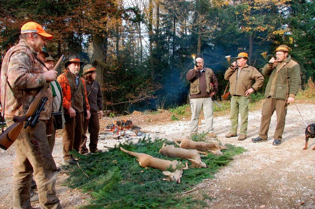 Keine Wildsau, nur drei Rehe erbrachte die Jagdstrecke  im Revier Badenweiler.   | Foto: Sigrid umiger