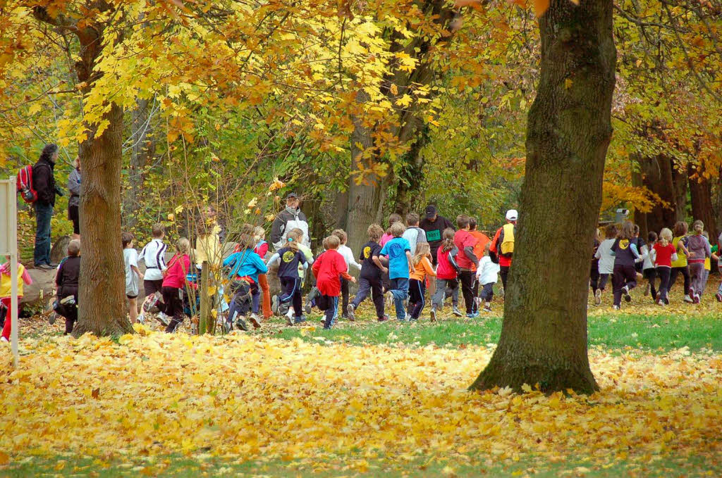 Impressionen vom Herbstlauf 2008 Impressionen vom Herbstlauf 2008