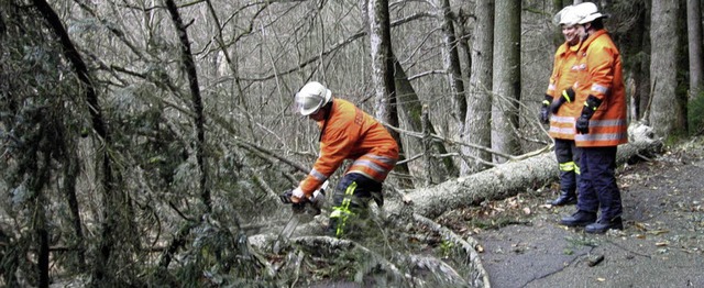 16 Einstze nach Sturmschden verzeich...tze durch Klimavernderungen voraus.   | Foto: WOLFGANG ADAM