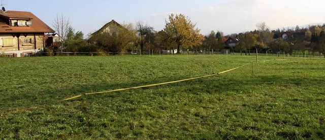 In diesem Bereich am Westrand von Nord...  &#8222;Leberholz&#8220; entstehen.    | Foto: Bernhard Birlin